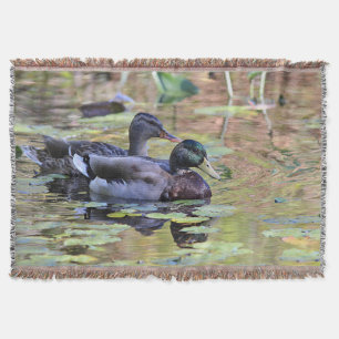 Couverture Canards de Mallard