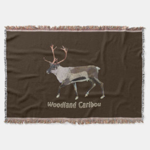 Couverture Caribou des bois