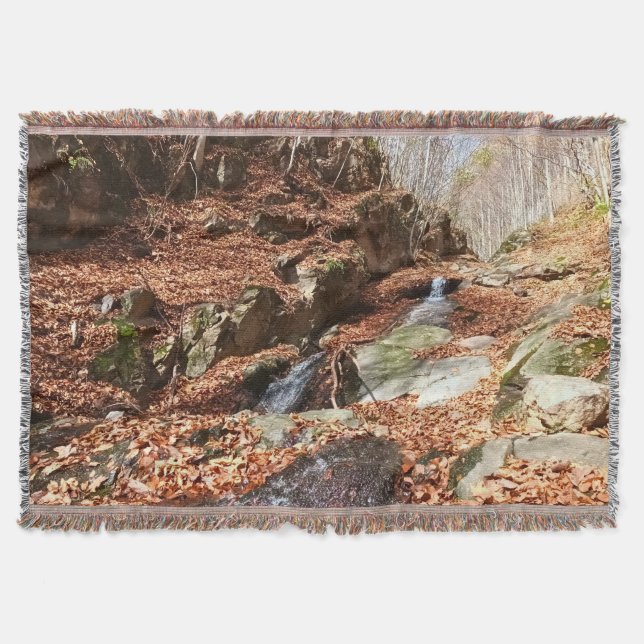 Couverture Cascade de Montagne - Nature Sauvage Roumanie (Devant)