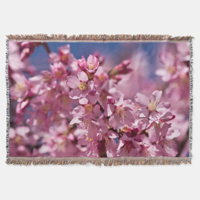 Couverture Cerisiers Sakura Embrassés Par La Lumière Du Solei (Devant)