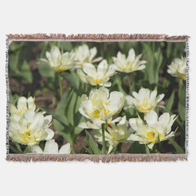 Couverture Champ de tulipes blanches (Devant)