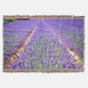 Couverture Champ Lavender