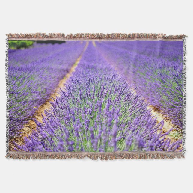 Couverture Champ Lavender (Devant)