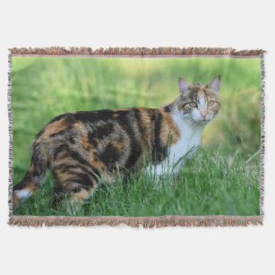 Couvertures Chaton Blanc Zazzle Fr