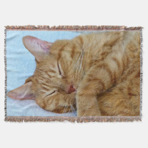 Couverture Chat couché