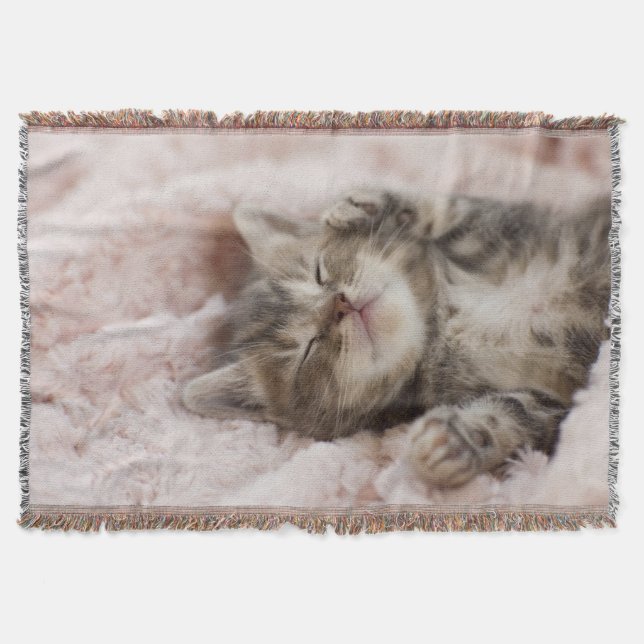 Couverture Chaton somnolent (Devant)