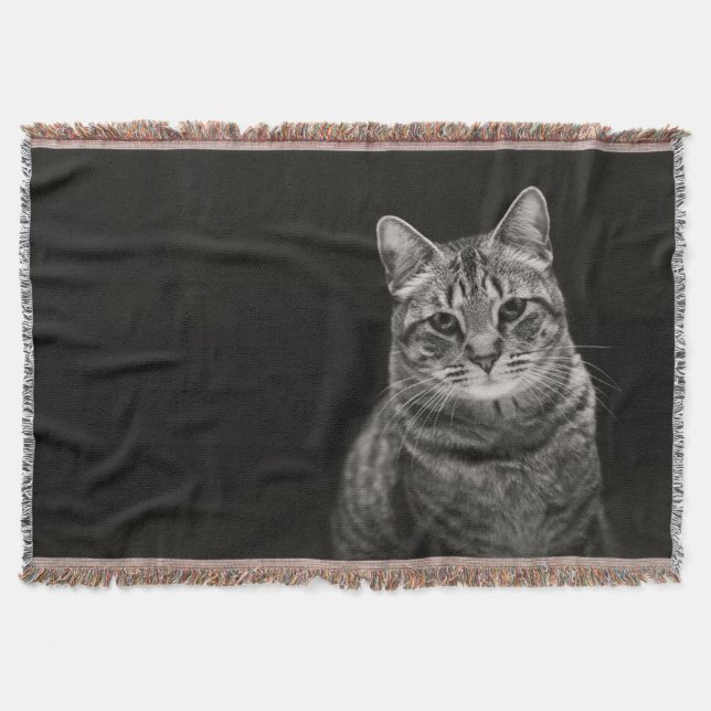 Couverture Chaton tigré noir (Devant)