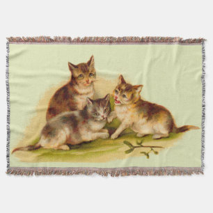 Couverture chatons victoriens