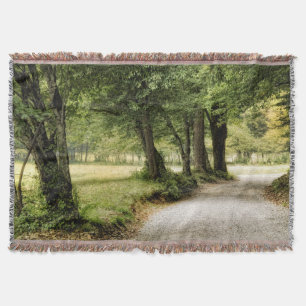 Couverture Chemin dans le pays