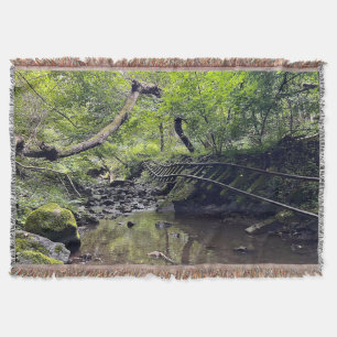 Couverture Chemin de fer abandonné