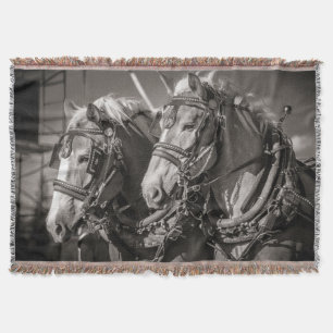 Couverture Cheval belge