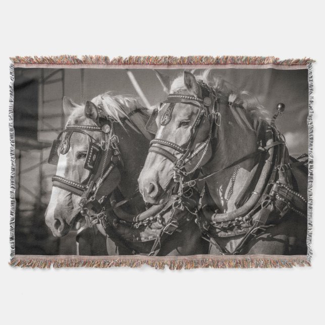 Couverture Cheval belge (Devant)