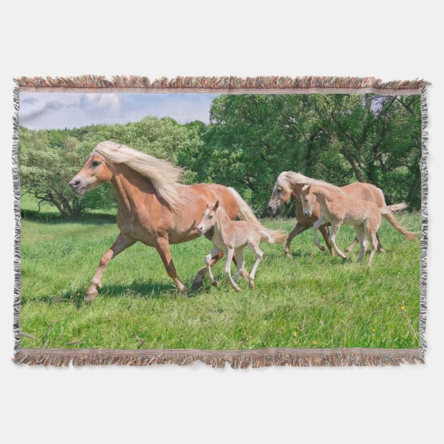 Couverture Cheval de Haflinger avec de mignons poulains Coure (Devant)