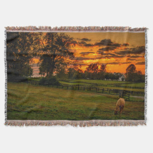 Couverture Cheval solitaire au coucher du soleil