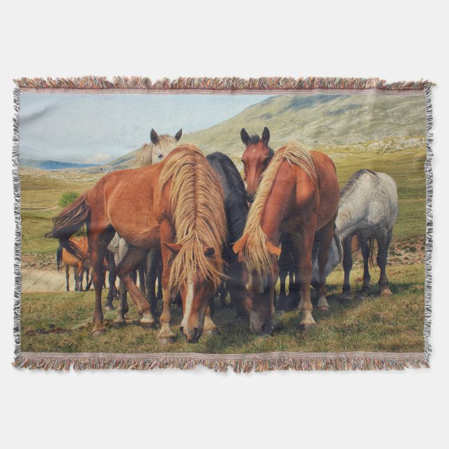 Couverture Chevaux sauvages Vie Nature Scène (Devant)