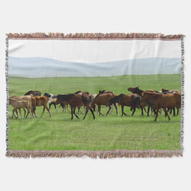 Couverture Chevaux sur la prairie - Photographie du paysage (Devant)