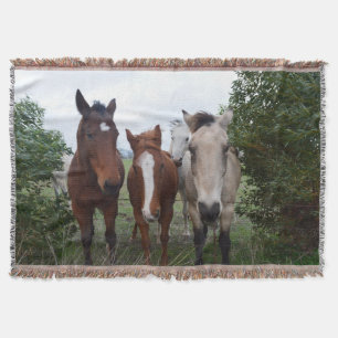 Couverture Cheveux frisés, quatre amis chevaux,