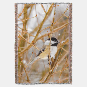 Couverture Chickadee au plafond noir - Photo originale