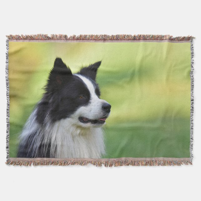 Couverture Chien Border Collie noir et blanc (Devant)