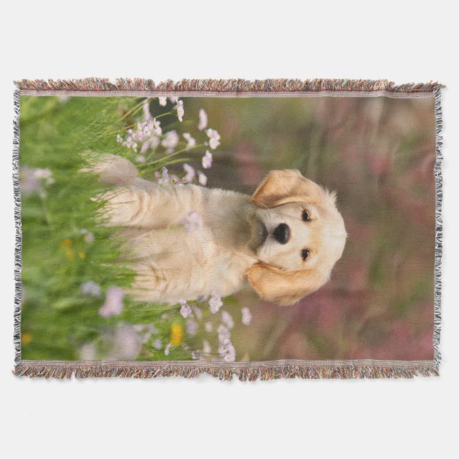 Couverture Chien Chien Chien Chien Mignonne, Blanche Cosy (Devant)