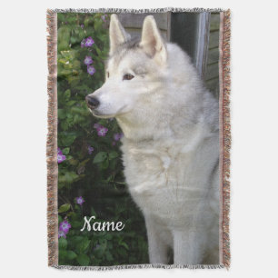 Couverture Chien chiot sibérien Husky