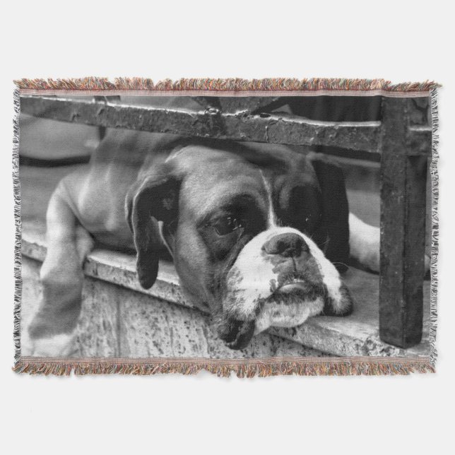 Couverture Chien de boxe sur Windowsill tbcna (Devant)