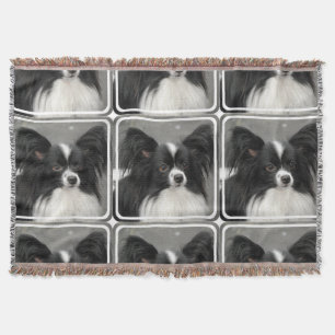 Couverture Chien de Papillon