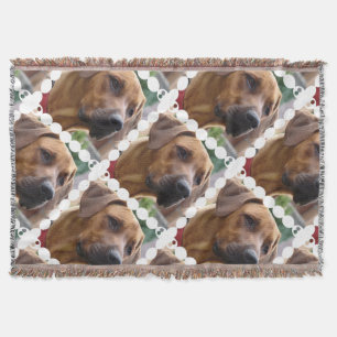 Couverture Chien de Rhodesian Ridgeback