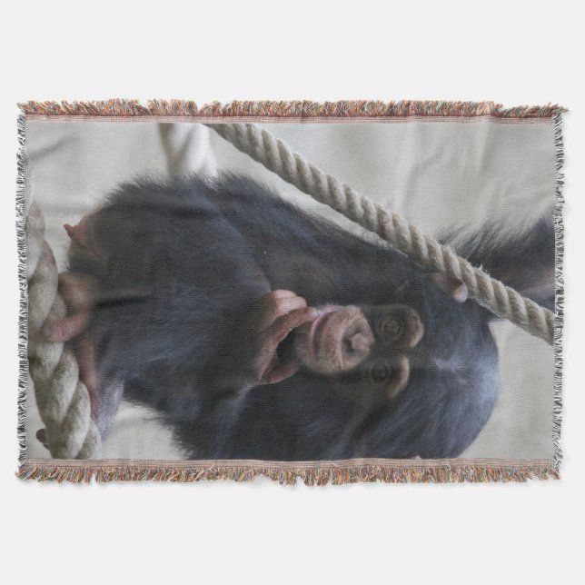 Couverture Chimpanzé 030 (Devant)