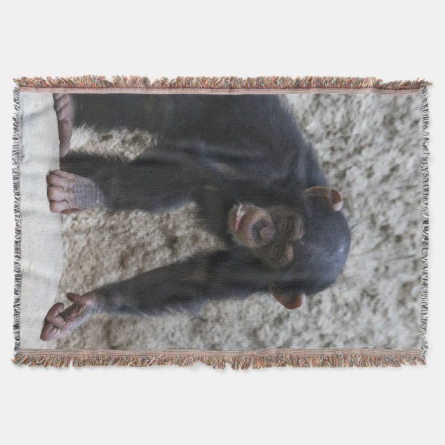 Couverture Chimpanzé 031 (Devant)