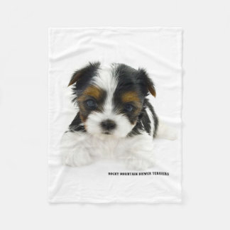 Couverture - chiot de Biewer Terrier