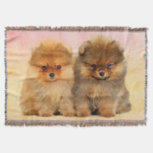 Couverture Chiots allemands mignons de Spitz de Pomeranian