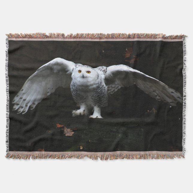 Couverture Chouette à neige avec ailes ouvertes tbcna (Devant)