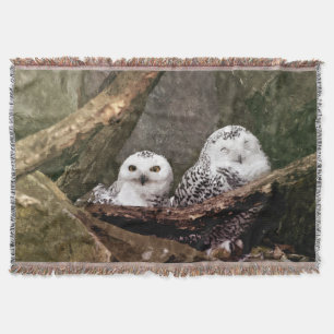 Couverture Chouette Harfang Couple Art Bois Faune
