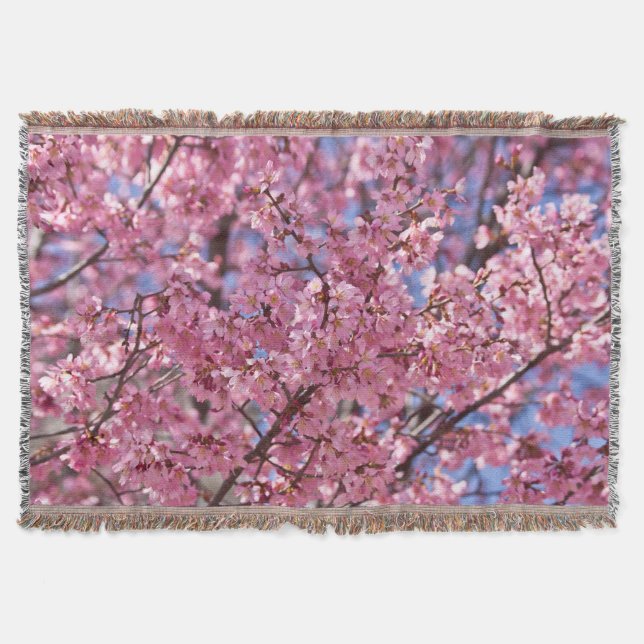 Couverture Ciel Rose aux Fleurs de Cerisier (Devant)