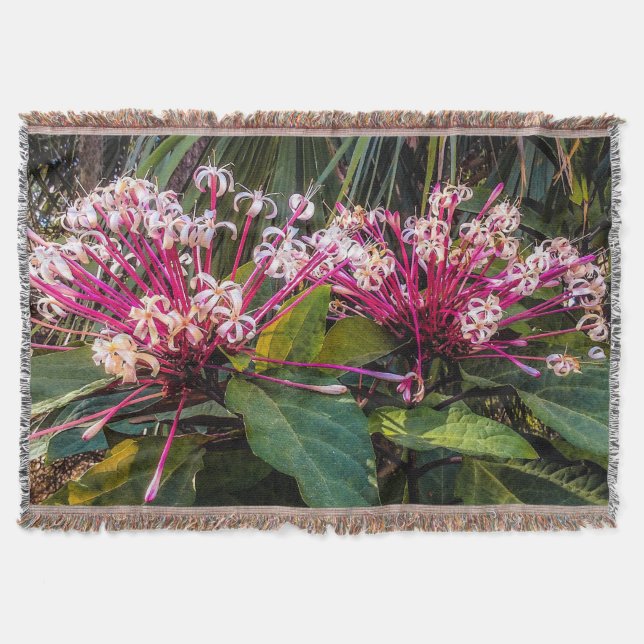 Couverture Clerodendrum Starburst Flowers Jeter Blanket (Devant)
