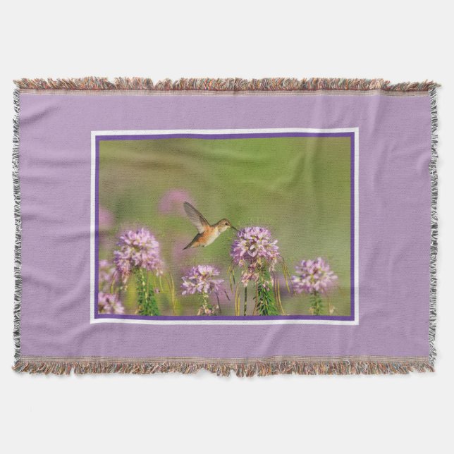 Couverture Colibri et fleurs sauvages (Devant)
