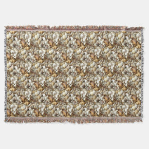Couverture Coques de mer