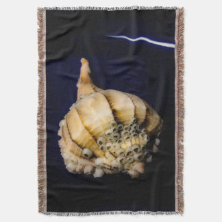 Couverture Coquille d'escargots de mer avec Barnacles