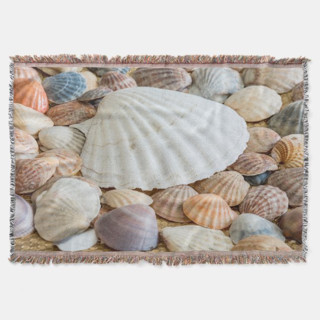 Couverture coquilles (Devant)