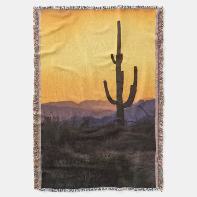 Couverture Coucher de soleil à Scottsdale avant la tempête (devant Vertical)