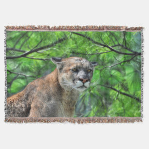 Couverture Cougar Mountain Lion & Summer Pines Image de la fa