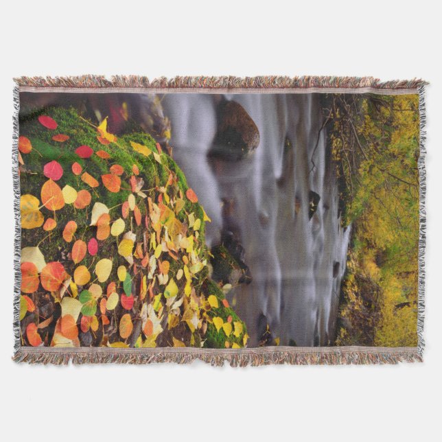 Couverture Couleurs d'automne le long de McGee Creek (Devant)