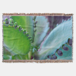 Couverture Couleurs Kalonchoe