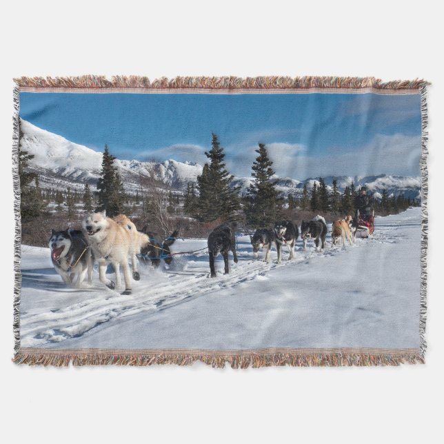 Couverture Course de traîneau à chiens Husky de l'Alaska (Devant)