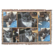 "Couverture photo classique pour animaux de compag