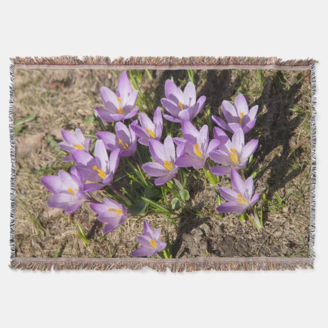 Couverture Crocus de printemps mignons (Devant)