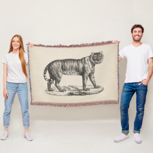 Couverture Croquis de Brodtmann Tiger