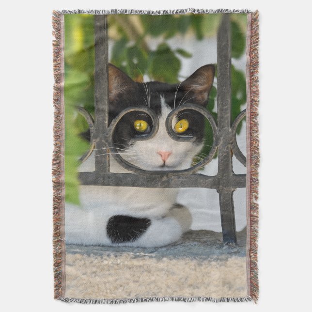 Couverture Curieux Chat avec cadre Spectacles - doux (devant Vertical)