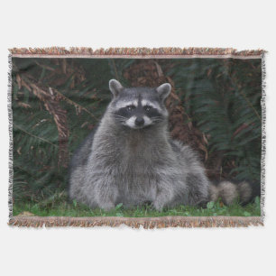 Couverture Cute Forest Raccoon Photo Faune